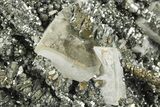 Glittering Marcasite Crystal Stalactites w/ Barite - Linwood Mine #246662-2